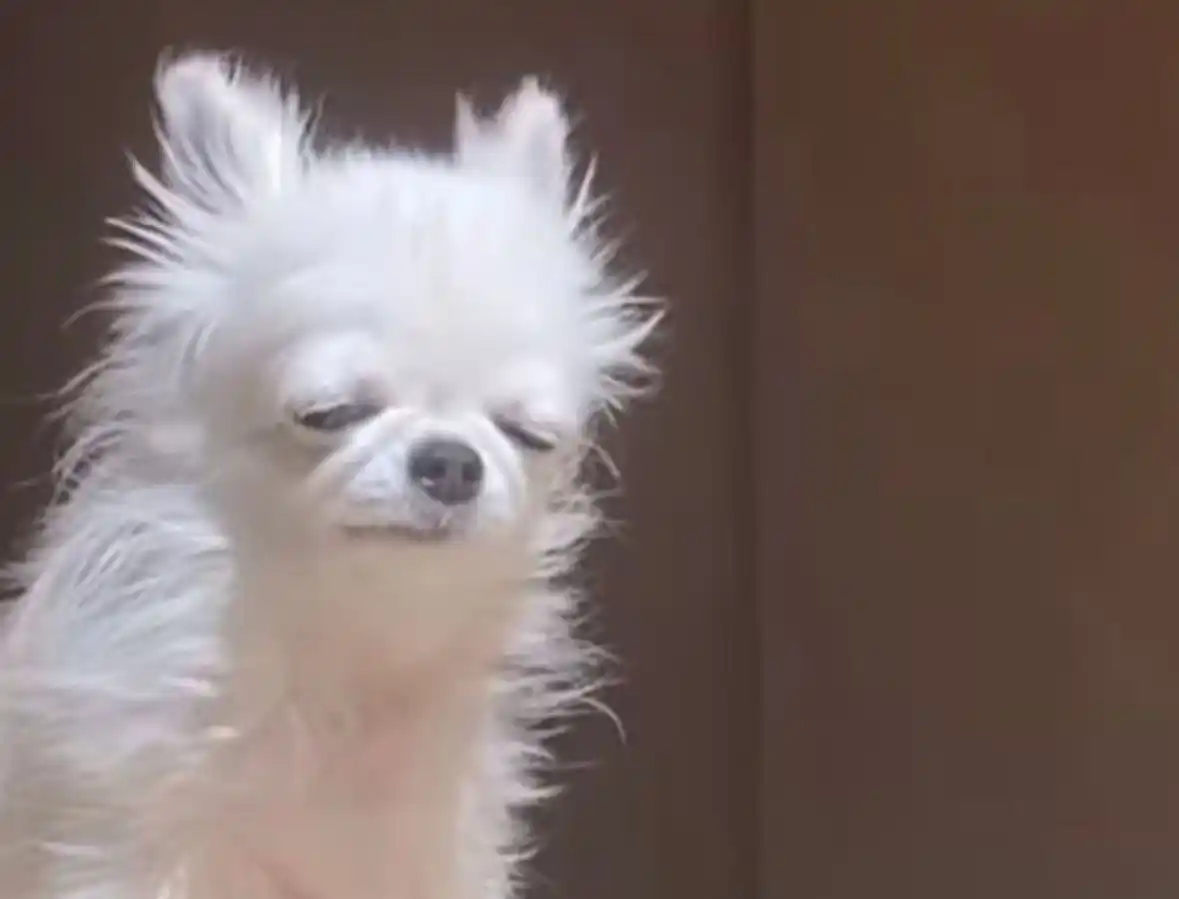 Lovin Abu Dhabi post