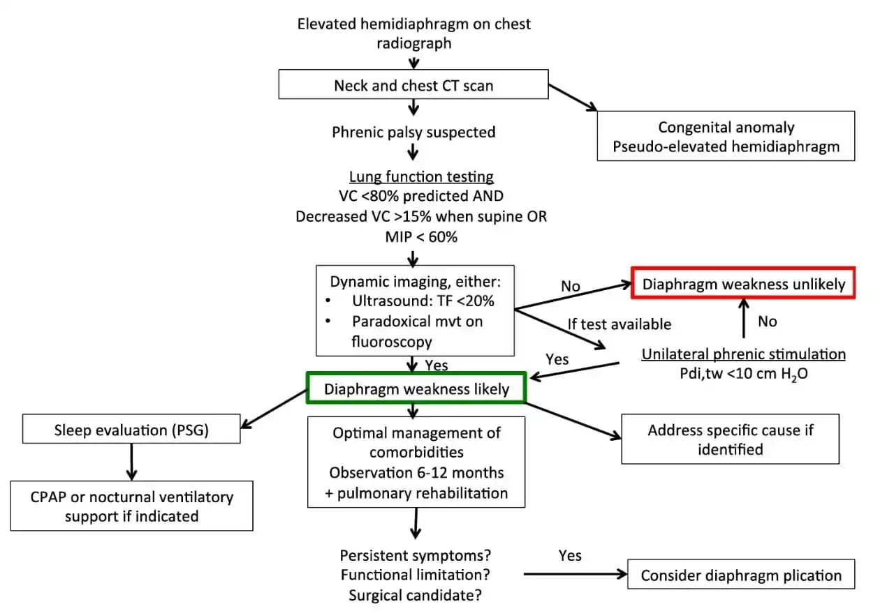 Image from MedLung Talks🫁: *Algorithmic approach to diagnose Unilateral Diaphragmatic Dysfunction...