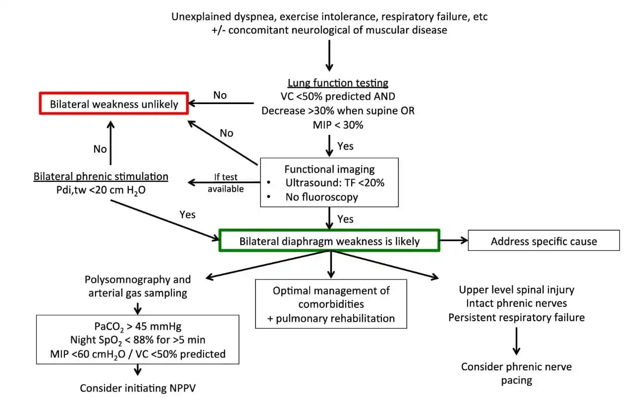 Image from MedLung Talks🫁: *Algorithmic approach to diagnose Bilateral Diaphragmatic Dysfunction*...