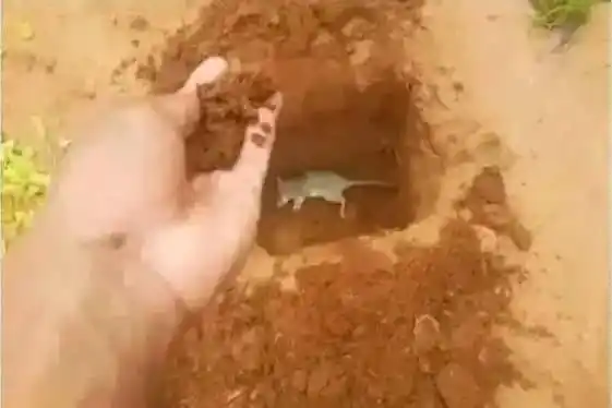 M𝐨𝐭𝐢𝐯𝐚𝐭𝐢𝐨𝐧 𝐪𝐮𝐨𝐭𝐞𝐬🫀❤️‍🩹 post