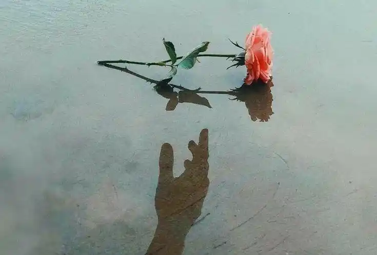 مذكراتي📒🔖مذكرات كتابات خواطر ملصقات اقتباسات قصص حب حزن غزل نكت مضحكه صور رسائل عبارات خلفيات حالات🇸🇾 post