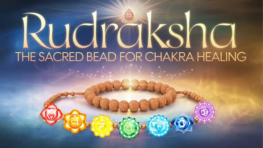 Image from Nitty Gritty With Dr. Neeti Kaushik: Rudraksha: The Sacred Bead for Chakra Healing: https://shop.drneetikau...