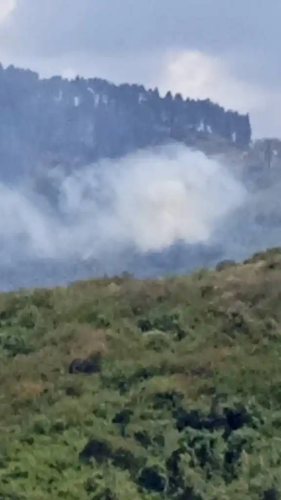 Image from Noticias ElTocuyoAlDia: *¡Alerta ambiental en la cuenca de Agua Turbia!* 🌿💧 La tala y quema ...