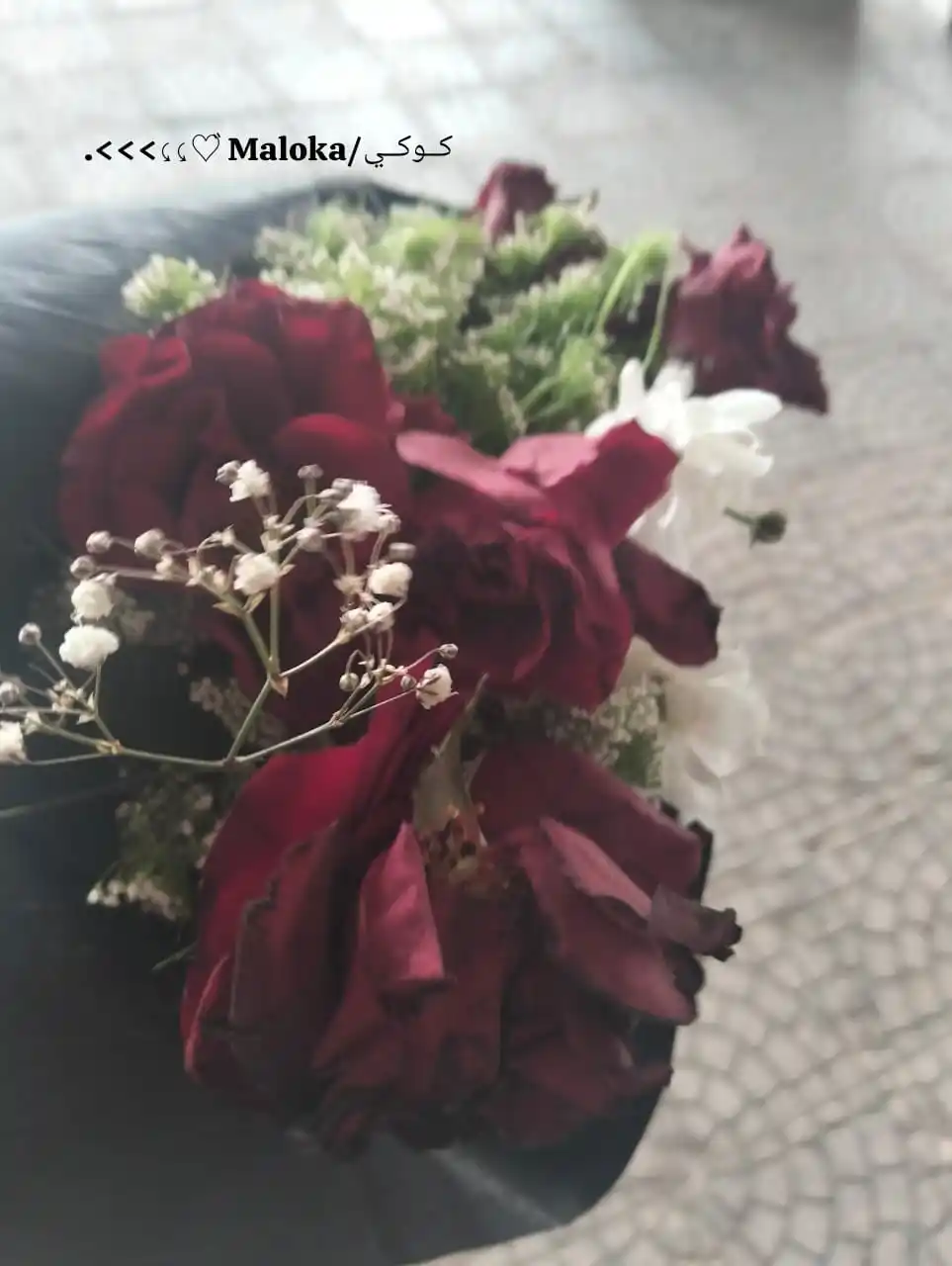 ⤹ 𝐏𝐥𝐚𝐧𝐞𝐭 𝐌𝐚𝐥𝐨𝐤𝐚¹¹:¹¹💕🎀↻ post