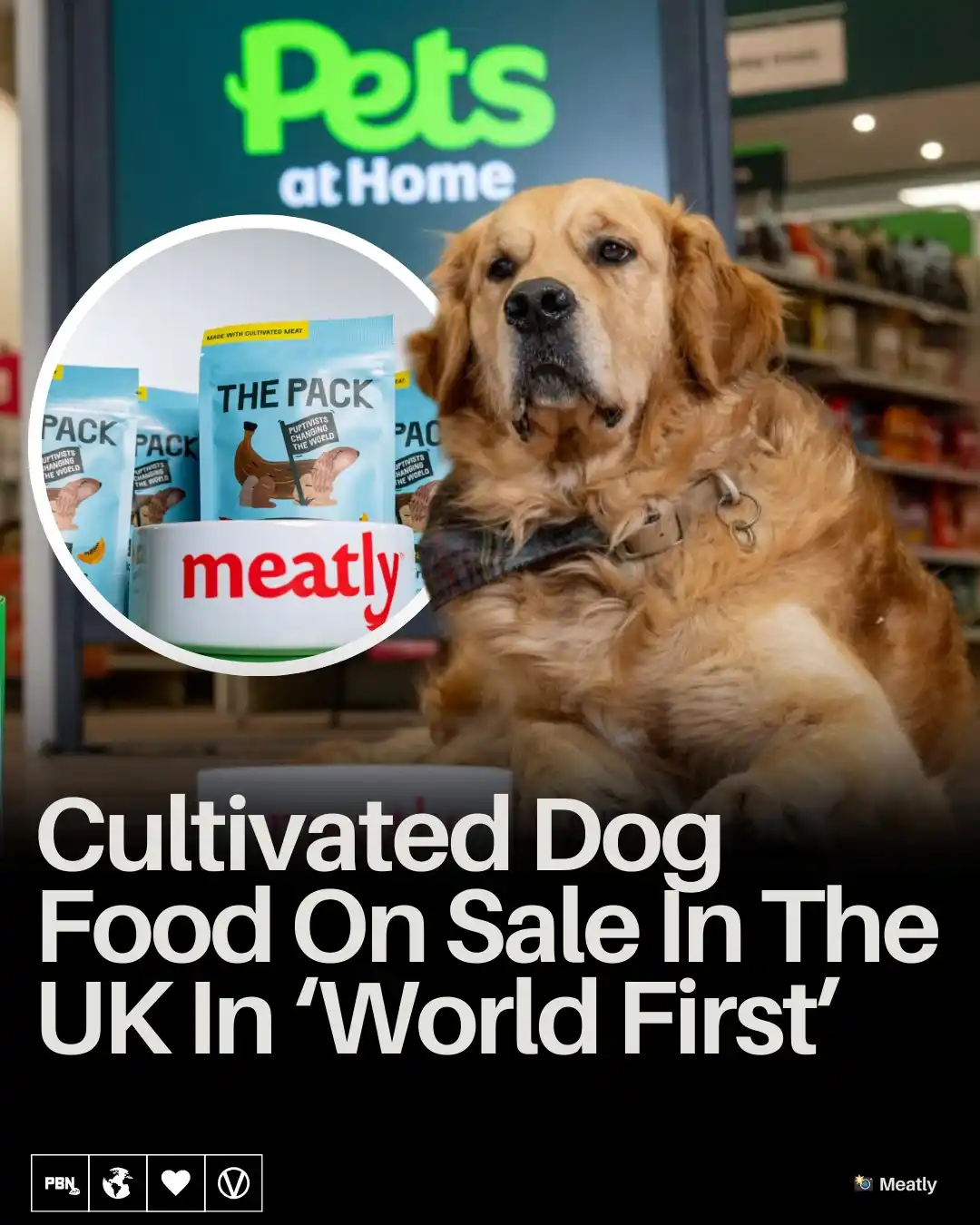 Plant Based News post