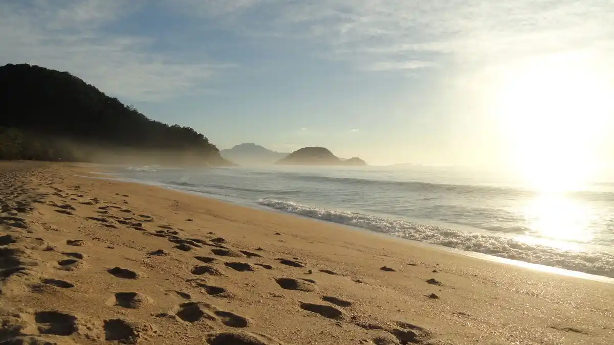 Portal Costa Norte | notícias do litoral paulista  post