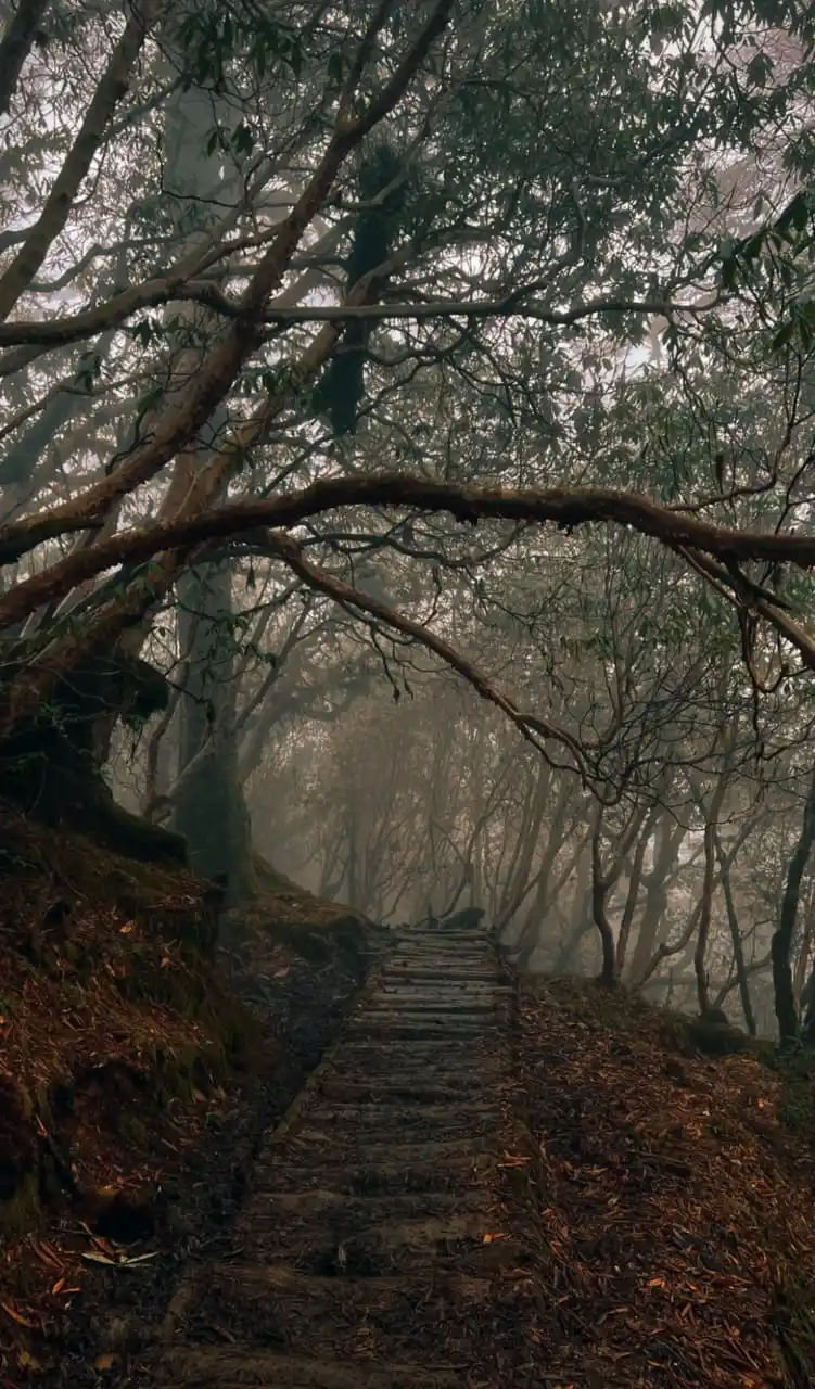 Image from Proud Indian: ⛰️ *Bandaje*   📍 *Karanataka, India*...