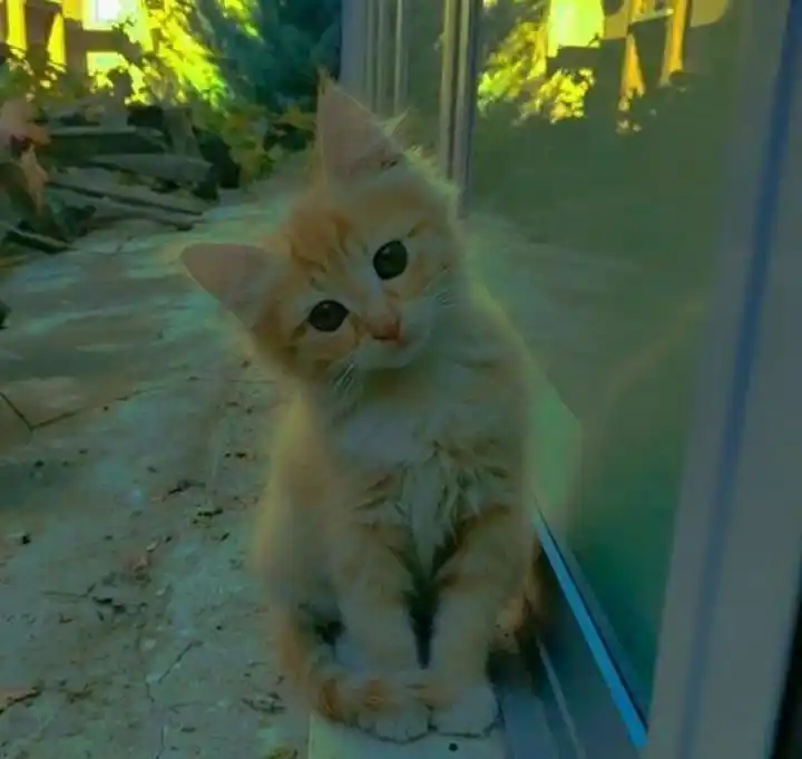 𝗣𝘀𝗶𝗰𝗼𝗹𝗼𝗴𝗶𝗮 💗! post