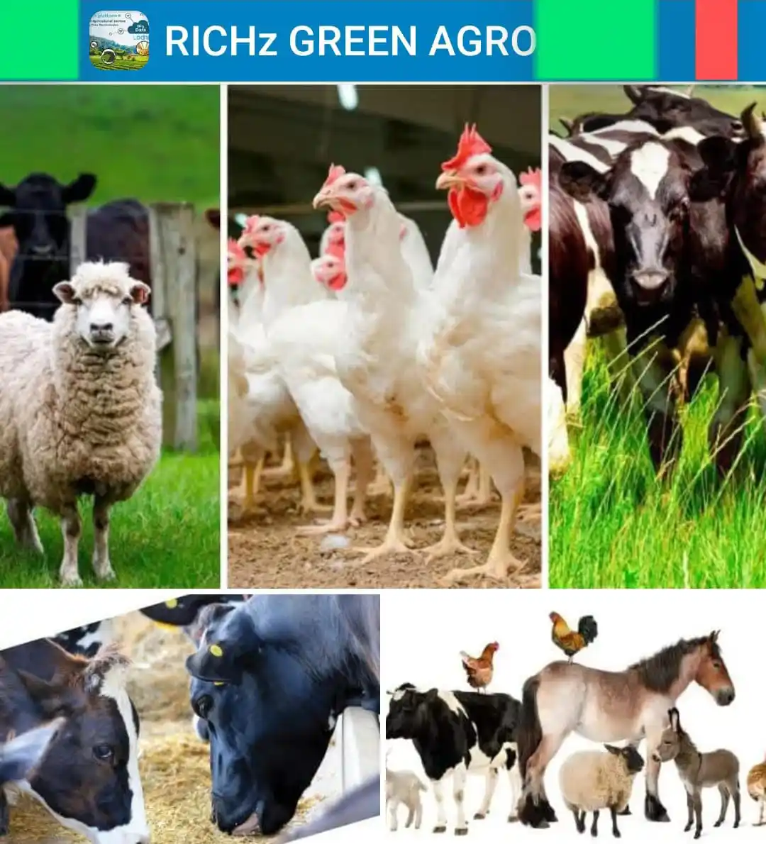 Image from Richz Green Learnings Research & Development With M-A-Khan-Lodhi: *`🟩🟧-----﷽----🟧🟩`* *Assãlãm O Alāikum* Muhammad Asif Khan Lodhi CP...