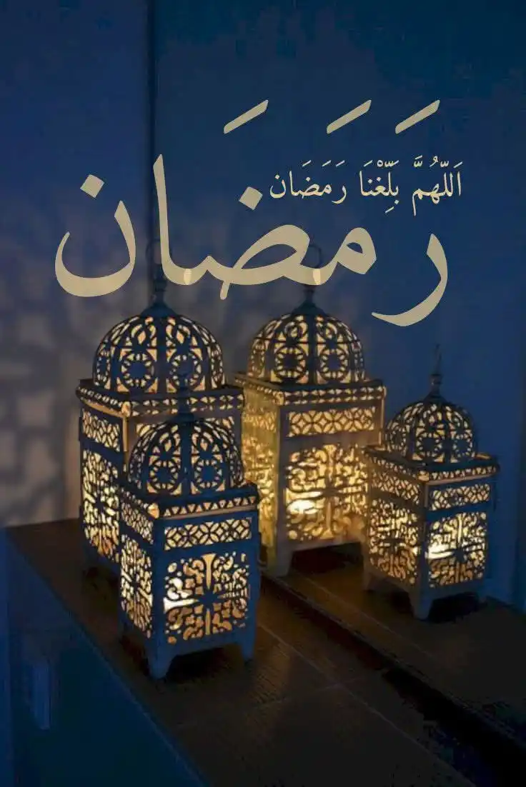 𝐒𝐚𝐫𝐚𝐡 𝐋𝐚𝐭𝐡𝐢𝐢𝐟 ♥︎⃟✿ post