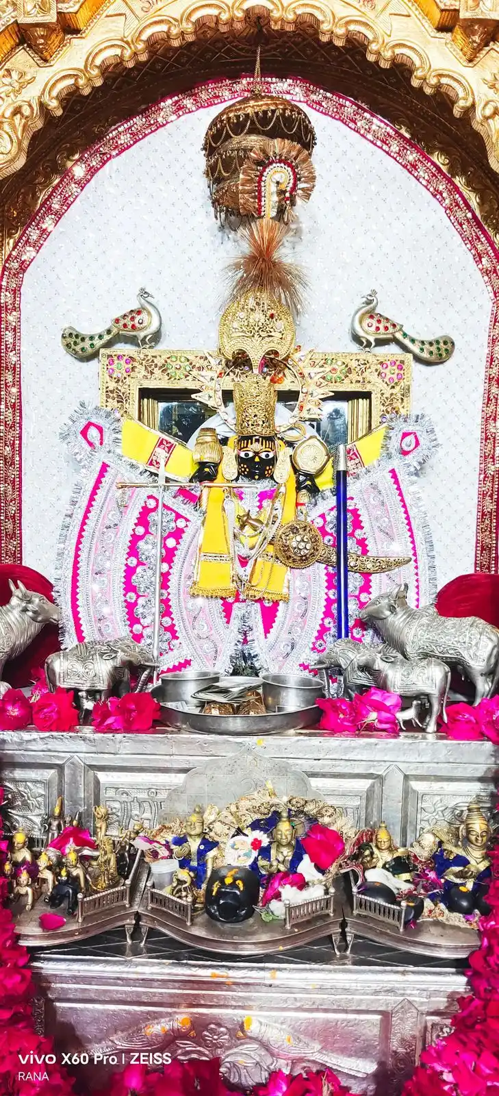 😍🥰 श्री साँवरिया सेठ रोज़ दर्शन ❤️ post