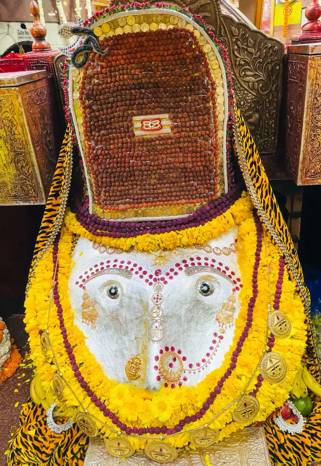 Image from Shri Kalka Maa Daily Darshan: 🌹 || DailyDarshan - February 26, 2025 || 🌹 🇮🇳🛕 || JAI KALKA MAA |...