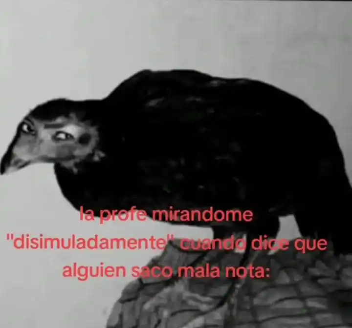 ✰...𝑺𝒕𝒂𝒓𝒔...✰ post