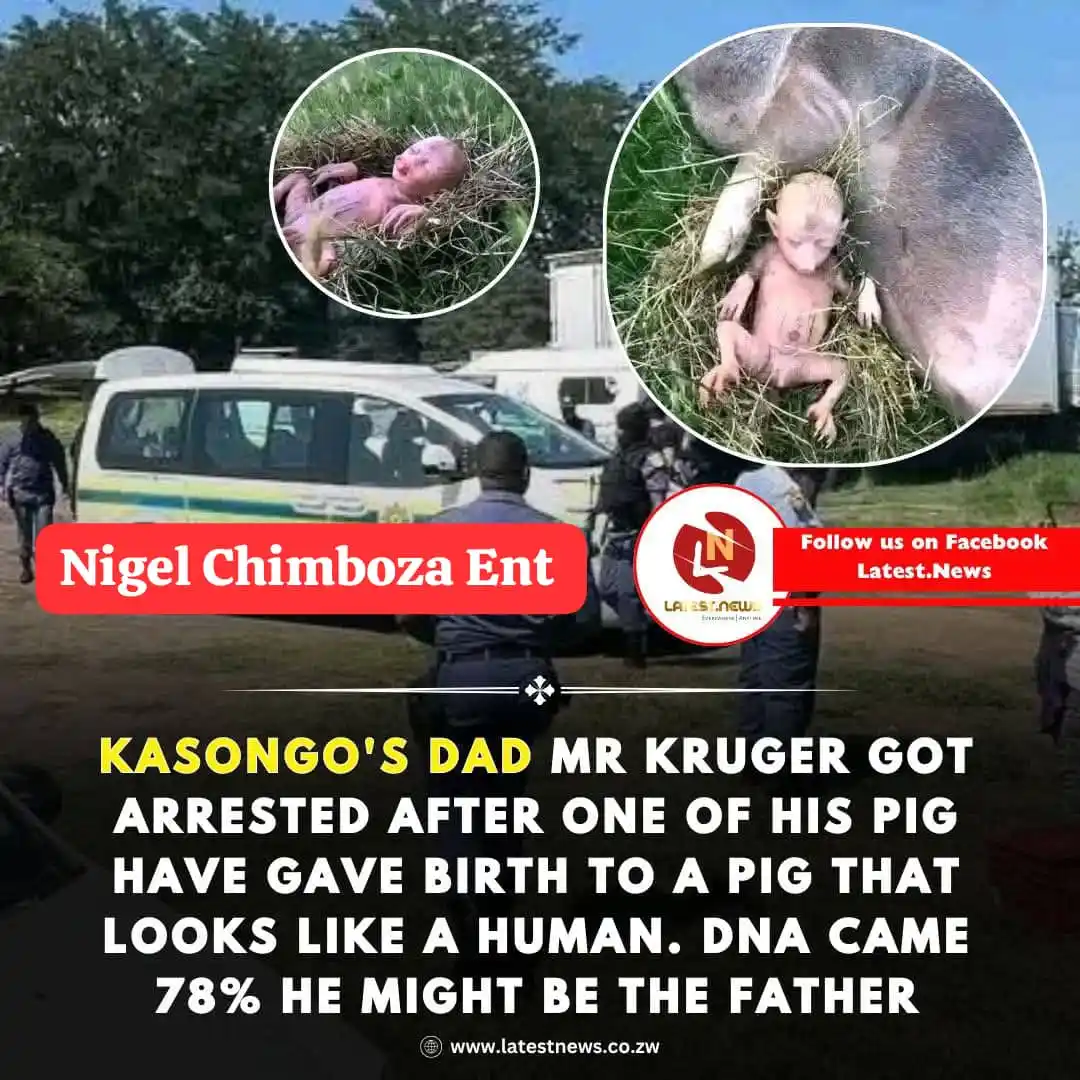 Steplo Zim Celebs News post