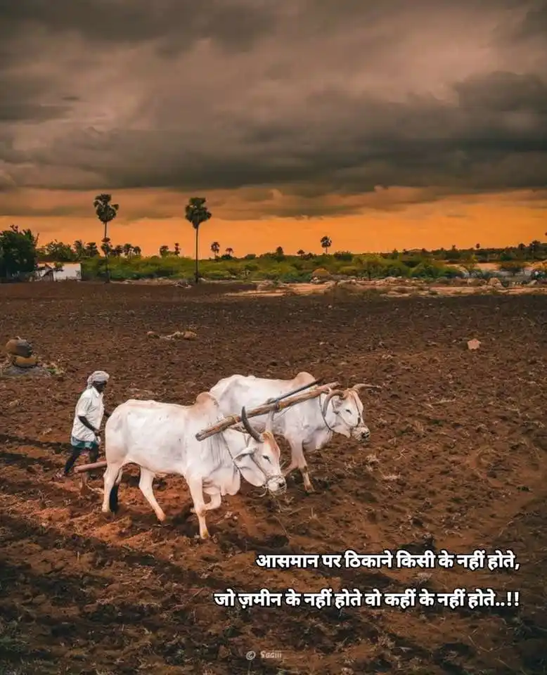Success Key 🎯 LifeMotivationalVideoUPSCShayriHindiMoviesDhonikhanViratSirGoodMorning post
