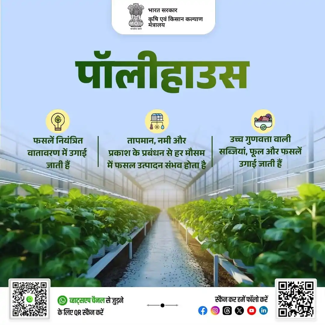 Image from AgriGoI: *पॉलीहाउस और ग्रीनहाउस: आधुनिक खेती की नई तकनीक! 🌱* संरक्षित खेती ...