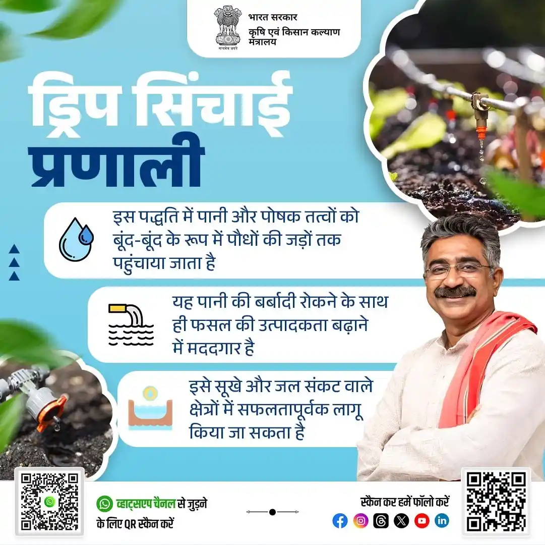 Image from AgriGoI: *ड्रिप सिंचाई: प्रति बूँद अधिक फसल ! 💧* ड्रिप सिंचाई एक आधुनिक और कु...