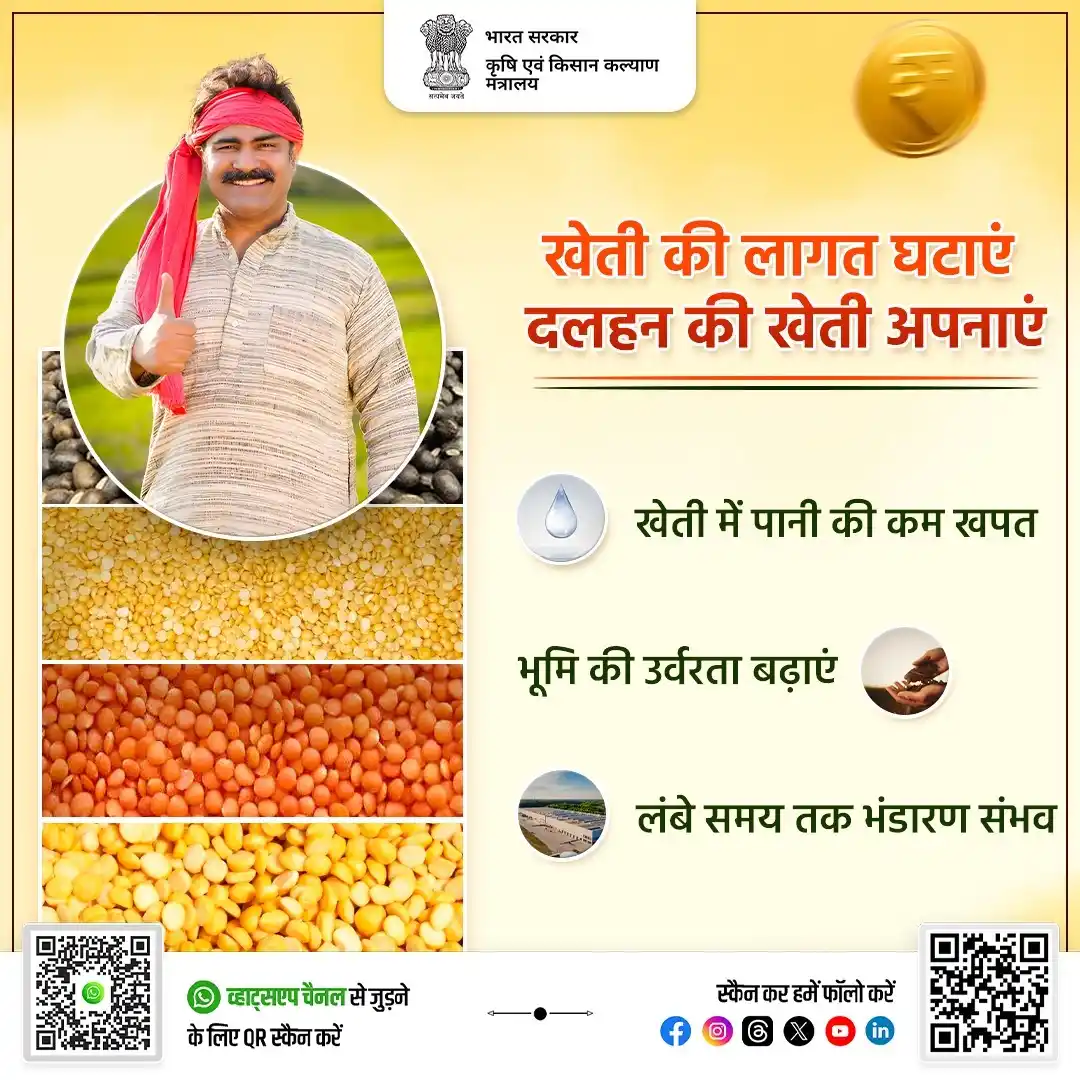 Image from AgriGoI: *खेती की लागत घटाएं, दलहन की खेती अपनाएं!* भारत सरकार किसानों को कम ल...