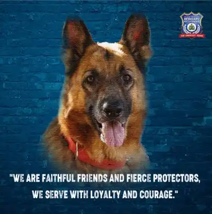 Image from Bengaluru City Police: Trust us to guard, trust us to chase, but don’t try outrunning us. We ...