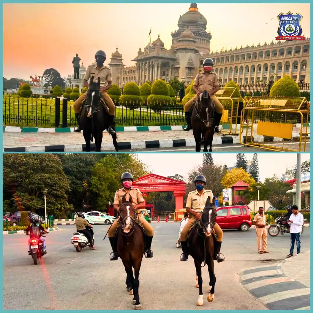 Image from Bengaluru City Police: Hooves on the pavement!  Last Friday and Saturday, our patrols were ou...