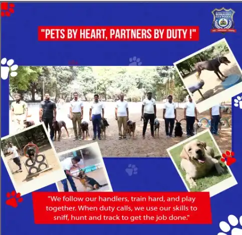 Image from Bengaluru City Police: Furry, fierce, and always on duty! We train hard, sniff out trouble, a...