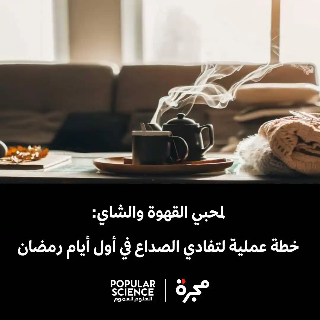بوبساي - العلوم للعموم post