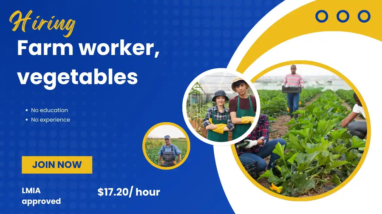 Image from Canada Job Bank: Hiring: Farm worker, vegetables Apply now: https://canadajobbank.org/f...