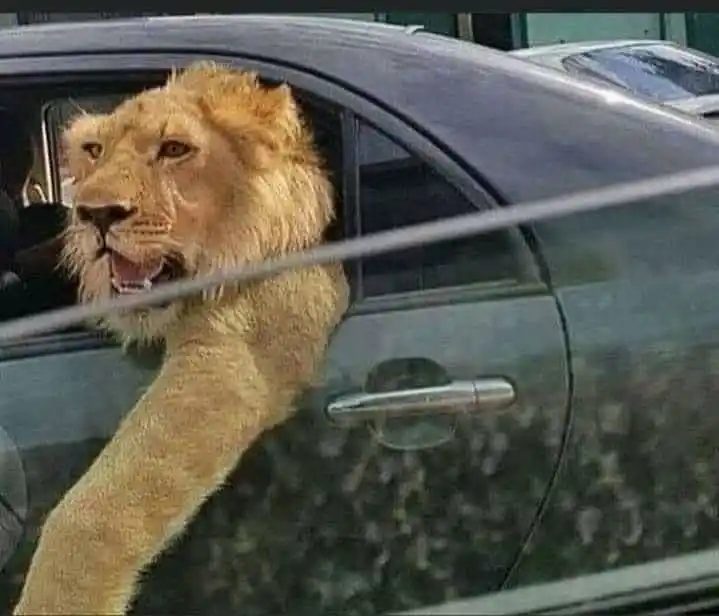 شركه الصفوه للتداول و الاستثمار 📊💸 post