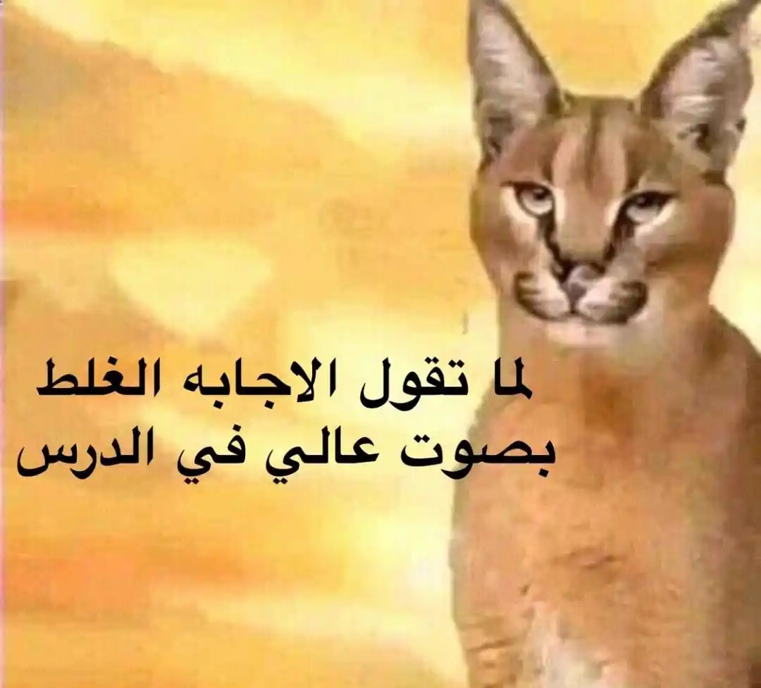 شركه الصفوه للتداول و الاستثمار 📊💸 post