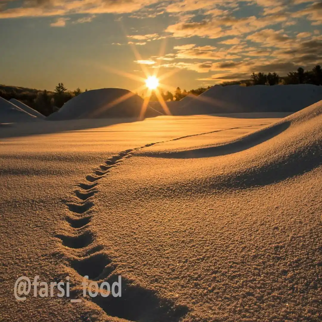درس خانه 📖 post