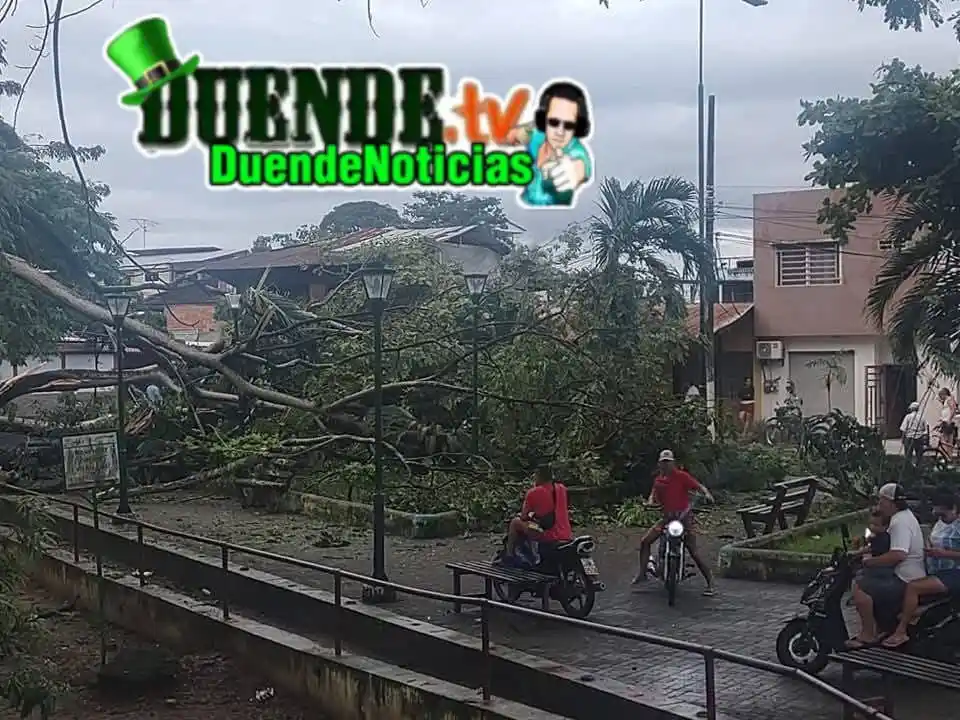Image from DuendeTv Canal: DuendeNoticias. 🍀🍀 <a class="text-blue-500 hover:underline cursor-p...