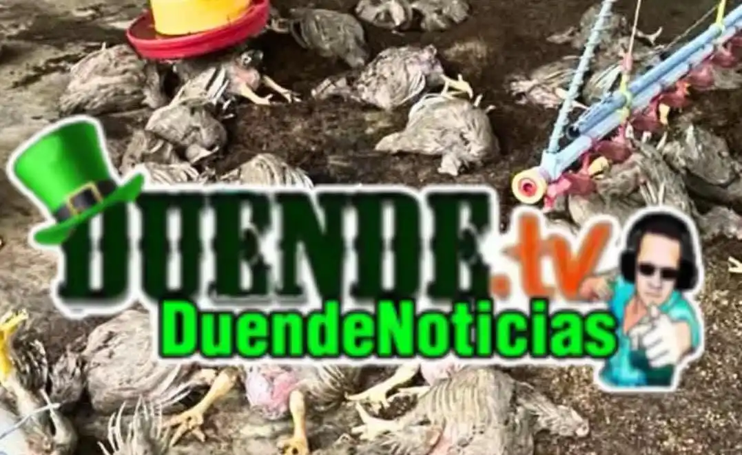 Image from DuendeTv Canal: DuendeNoticias. 🍀🍀<a class="text-blue-500 hover:underline cursor-po...