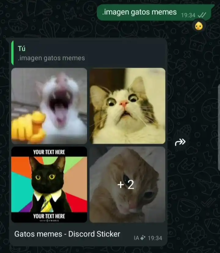 VIDEOS & MÚSICA ❤️‍🩹. post