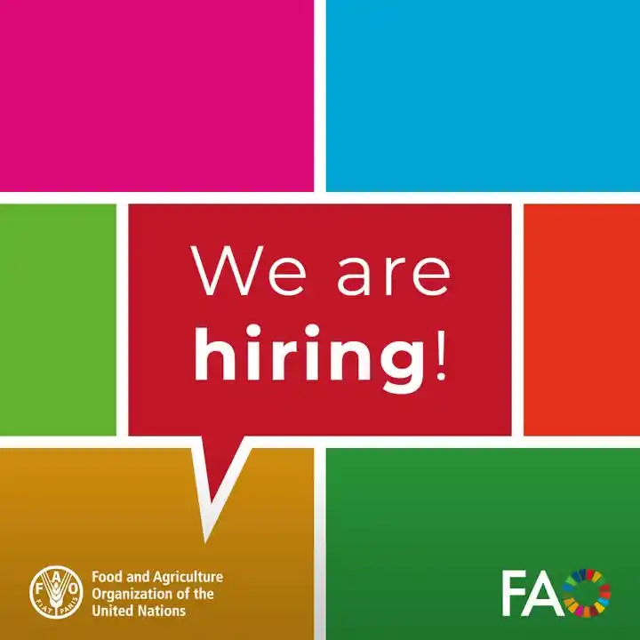 Image from GBC Students Support Network: 🌟Check out these currently open vacancies at FAO in the field of publ...