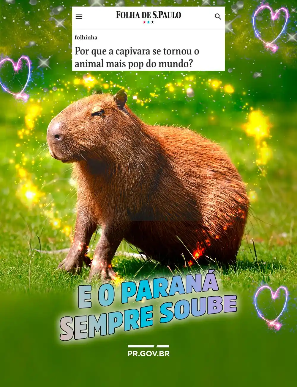 Governo do Paraná  post