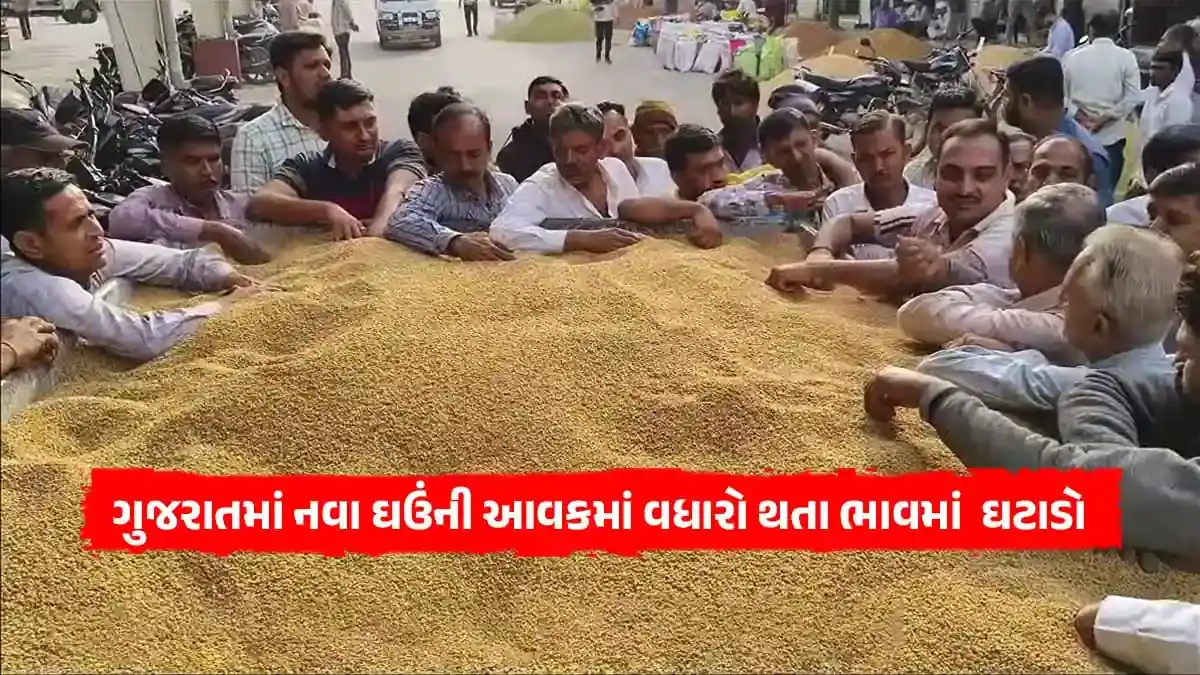 Gujarat Bajar Samachar - Agriculture Khedut News post