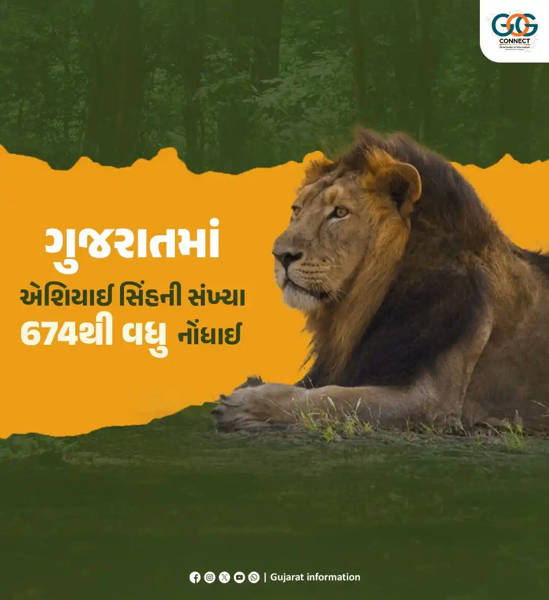 Image from Gujarat Information: વન્ય પ્રાણીઓ માટે ગુજરાત બન્યું વધુ સુરક્ષિત રાજ્ય, ગુજરાતમાં એશિયાઈ સ...
