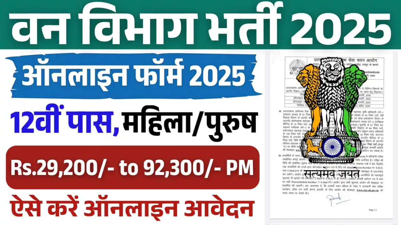 Image from Job valley: *🔥 Forest Department Recruitment 2025 🔥* *🌲 Calling all nature ent...
