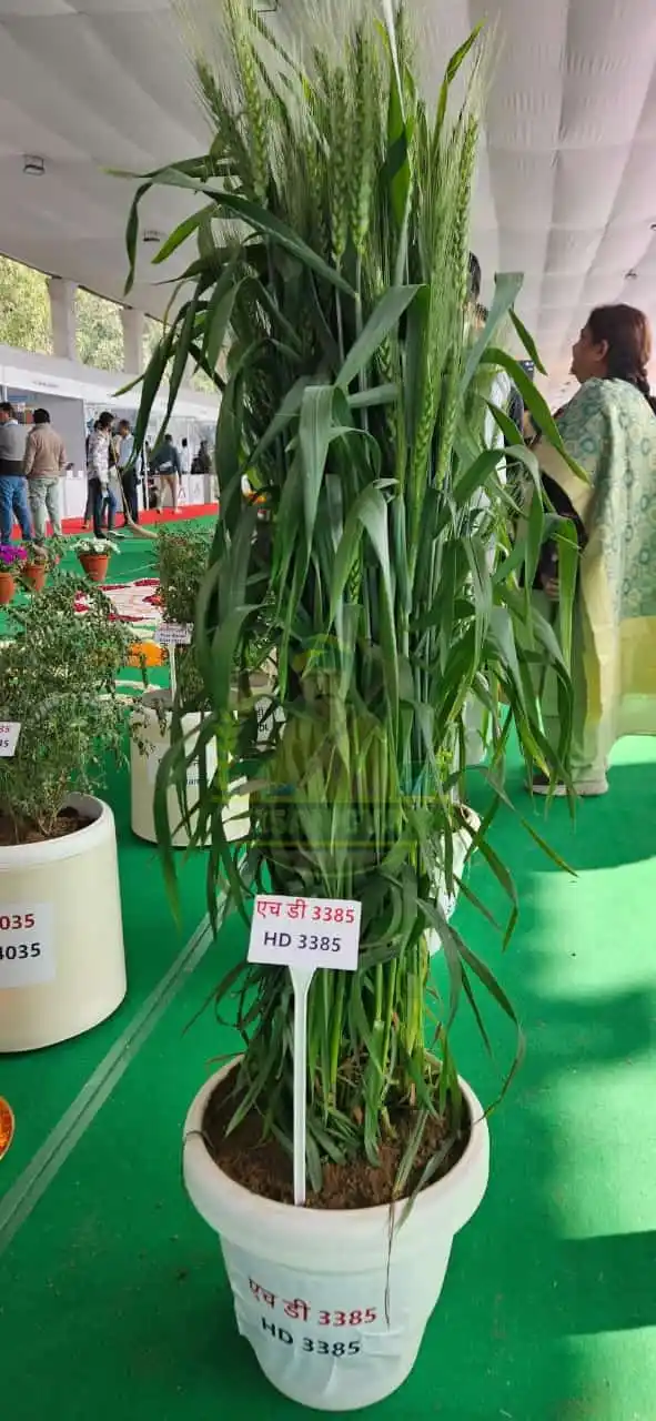 कृषि एवं उद्यान विभाग  (अनऑफिशियल) post