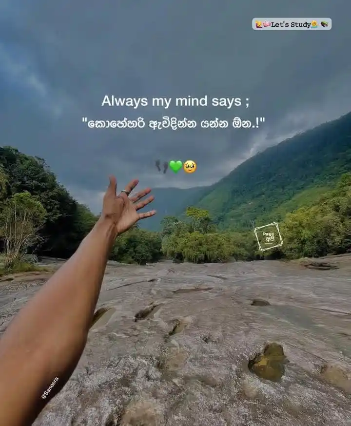 Let's Study 📖🖇🌻🪴 post