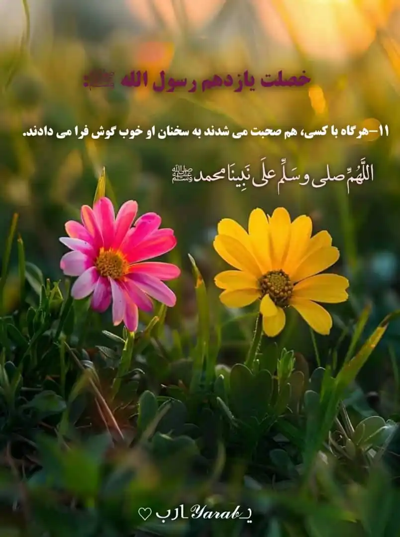 معلومات اسلامی 🕌 post