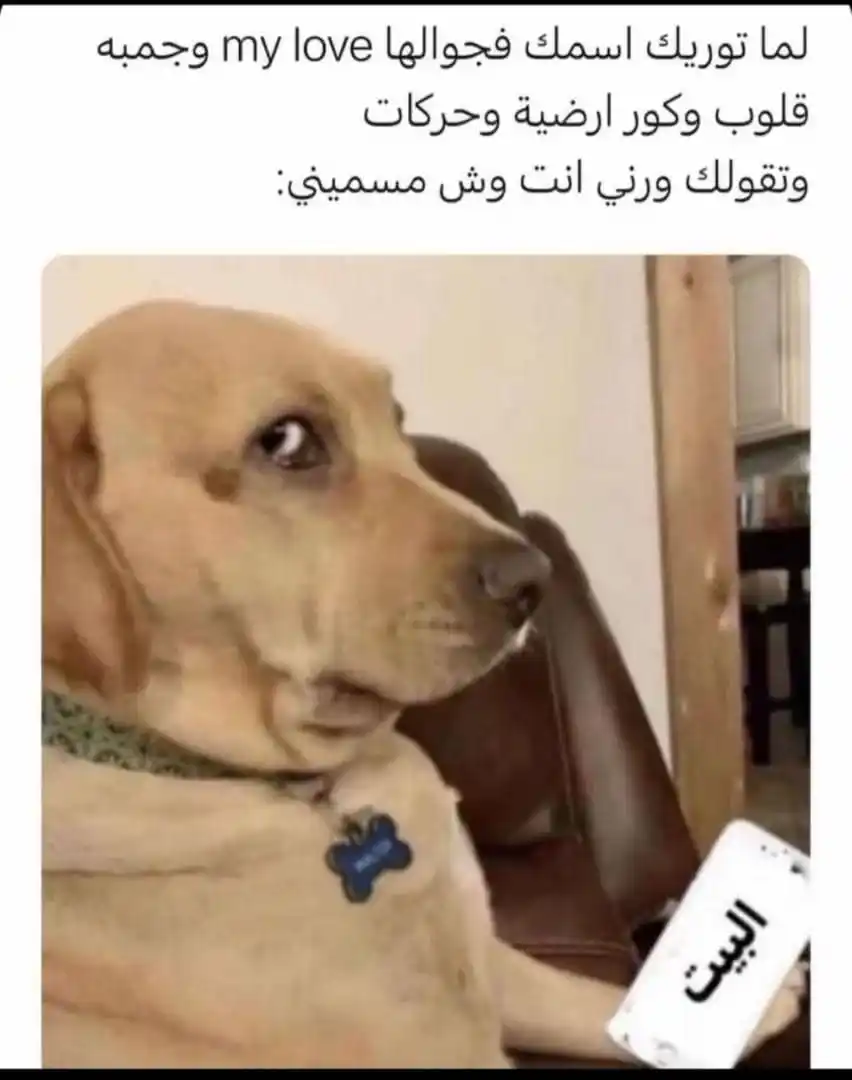 نكت ضحك فيديوهات         صور حالات إقتباس رسائل عبارات stickers حزينه نكت حب ملصقات تعارف غزل post
