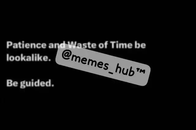 Memes Hub™ post
