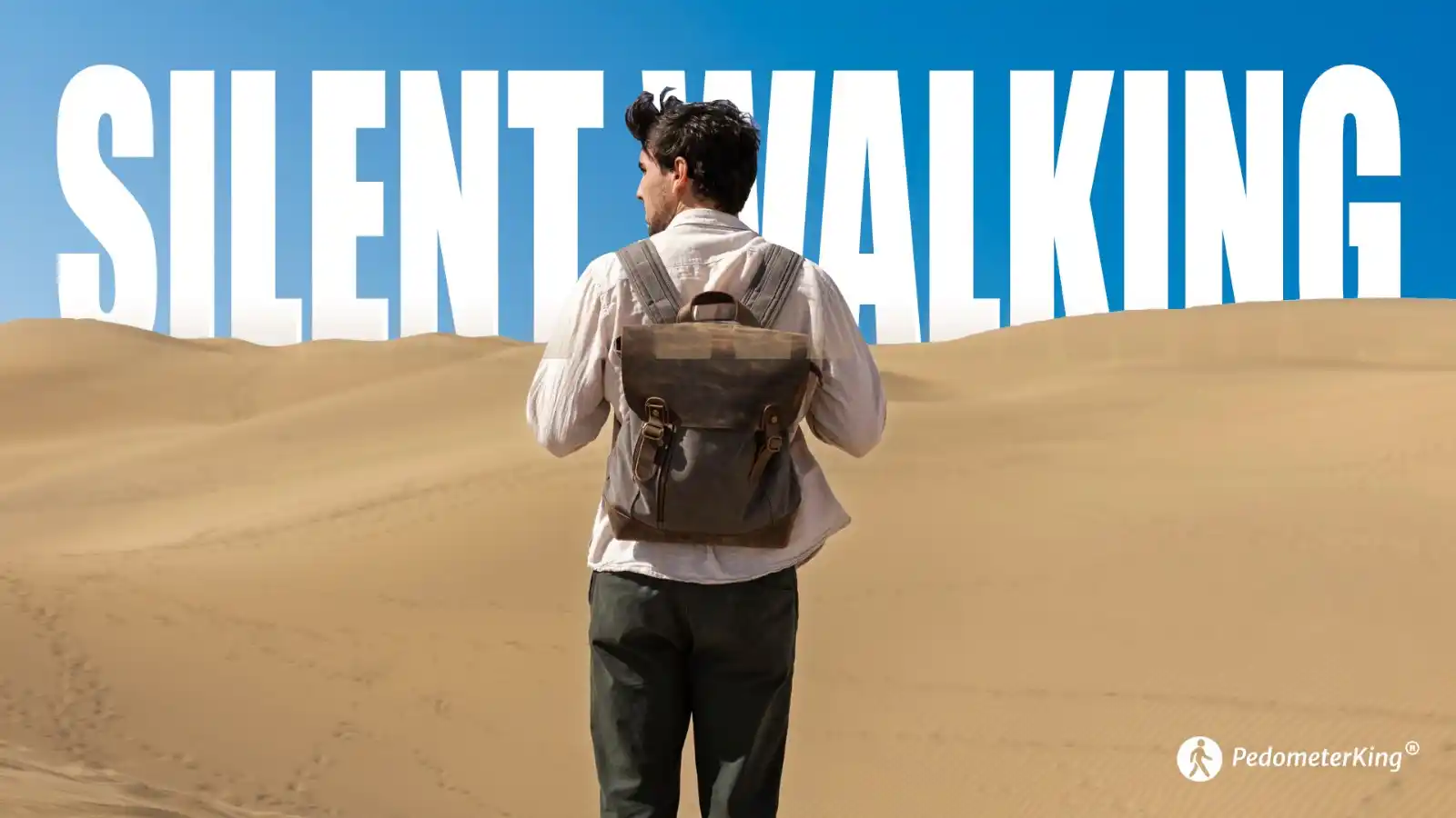 Pedometer King® post