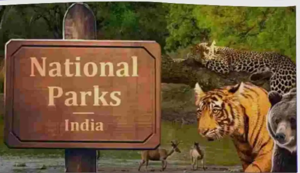 Railway NTPC RRB SSC Careerwill Utkarsh MD Classes Vivek Arun Sir Exampur Online Group D CTET GK CDP post