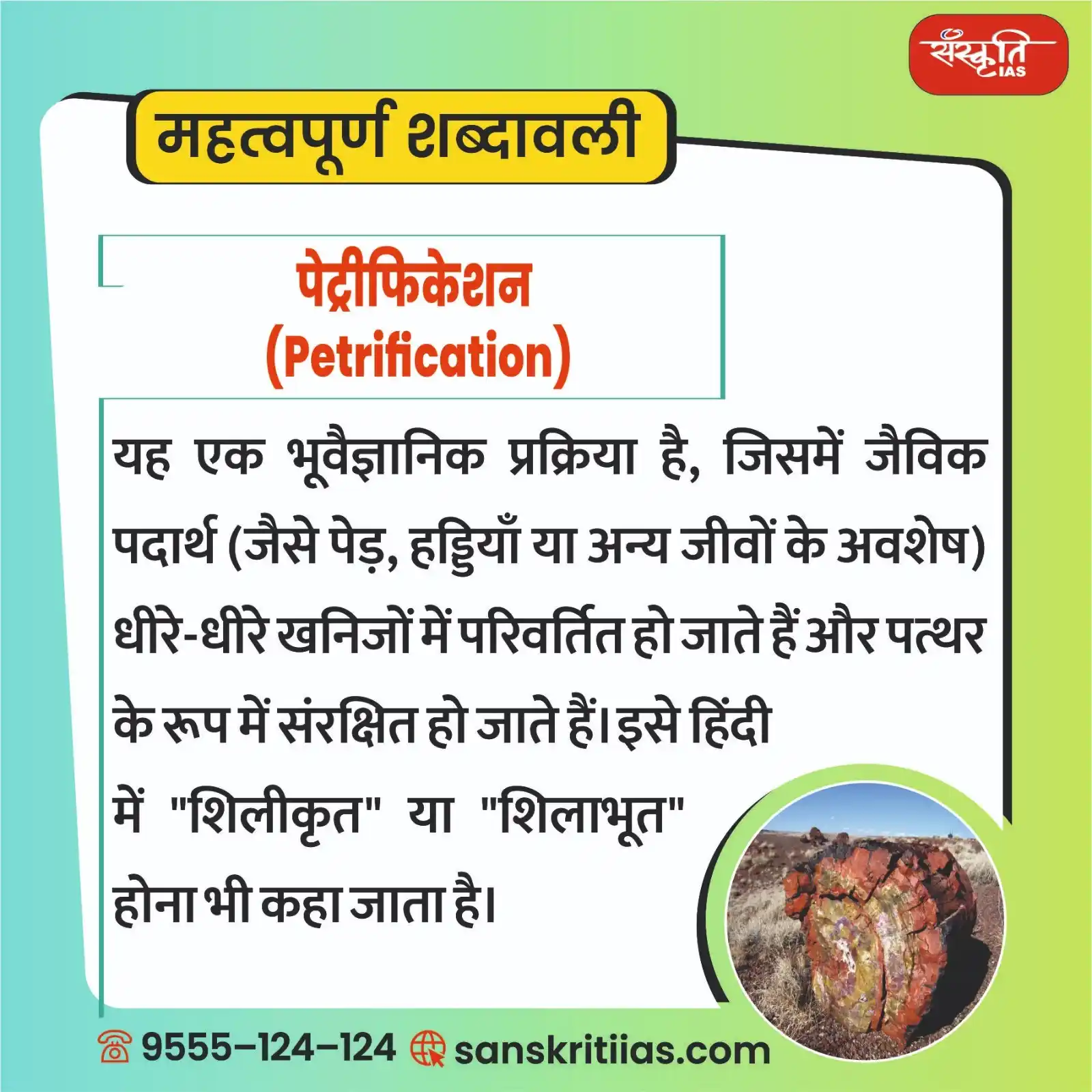Image from Sanskriti IAS: महत्त्वपूर्ण शब्दावली: पेट्रीफिकेशन (Petrification) https://www.sans...