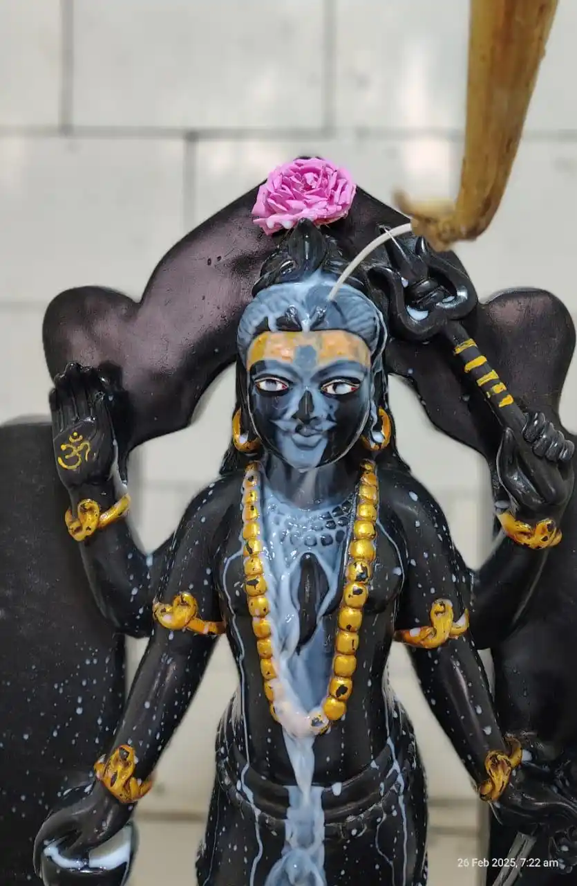 Image from ShriHari Mandir: 🔱Mahashivratri Vishesh 🖤 Abhishek Darshan of Shri Siddh Saumya Bhai...