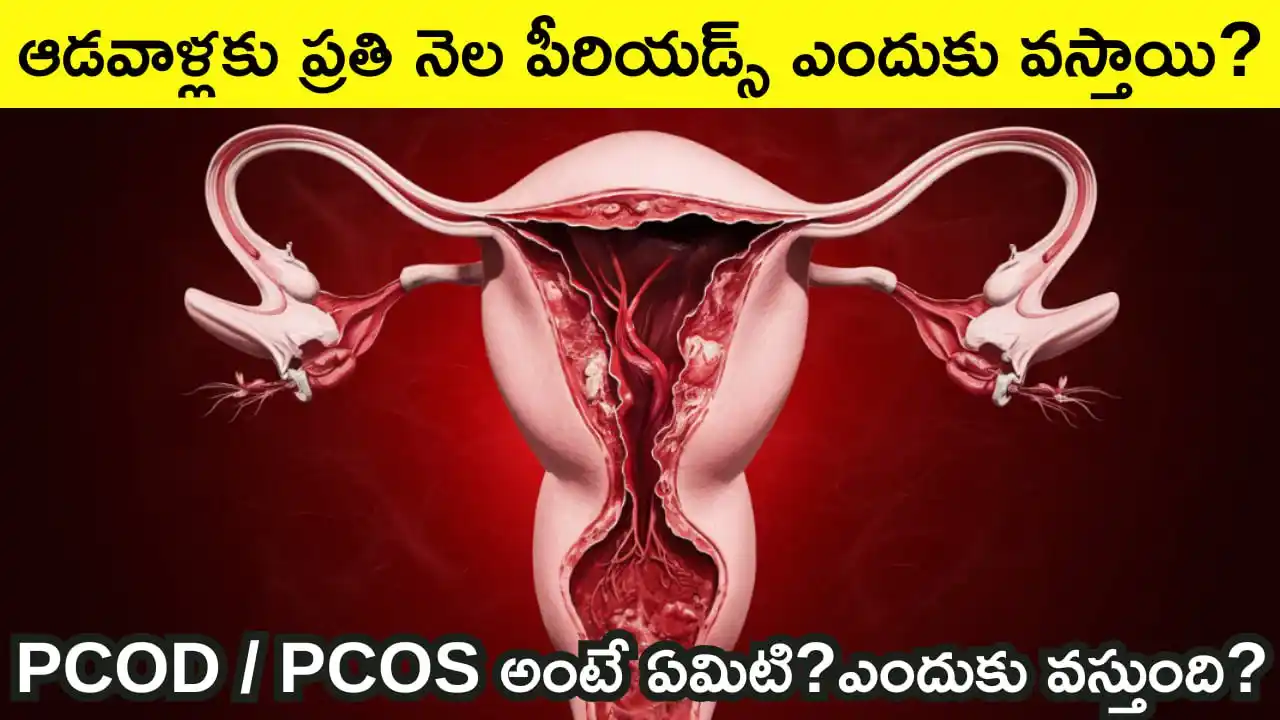 Telugu Badi ✅ post