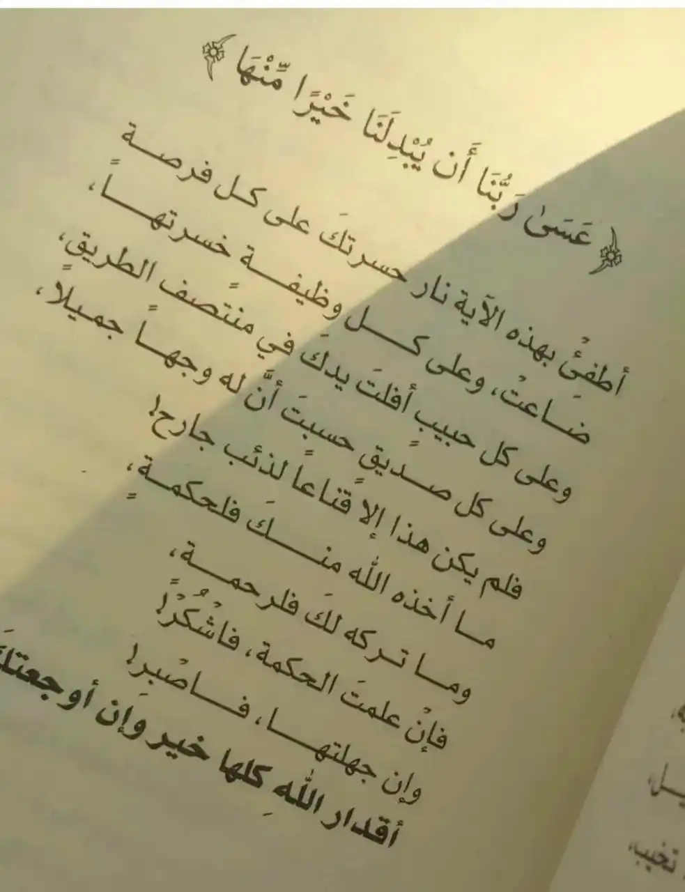 Image from Tiana's posts💚: أقدار الله كلها خير وإن أوجعتكَ . <a class="text-blue-500 hover:u...