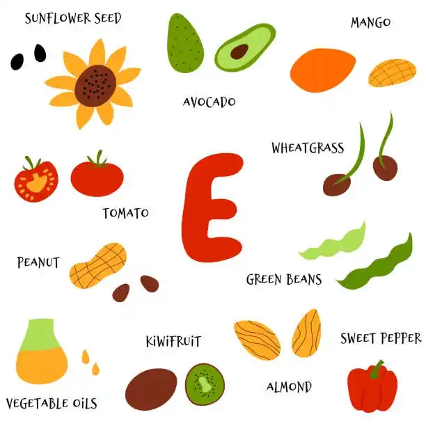 Image from TOI Health: *Vitamin E is a powerful antioxidant that protects cells from damage, ...